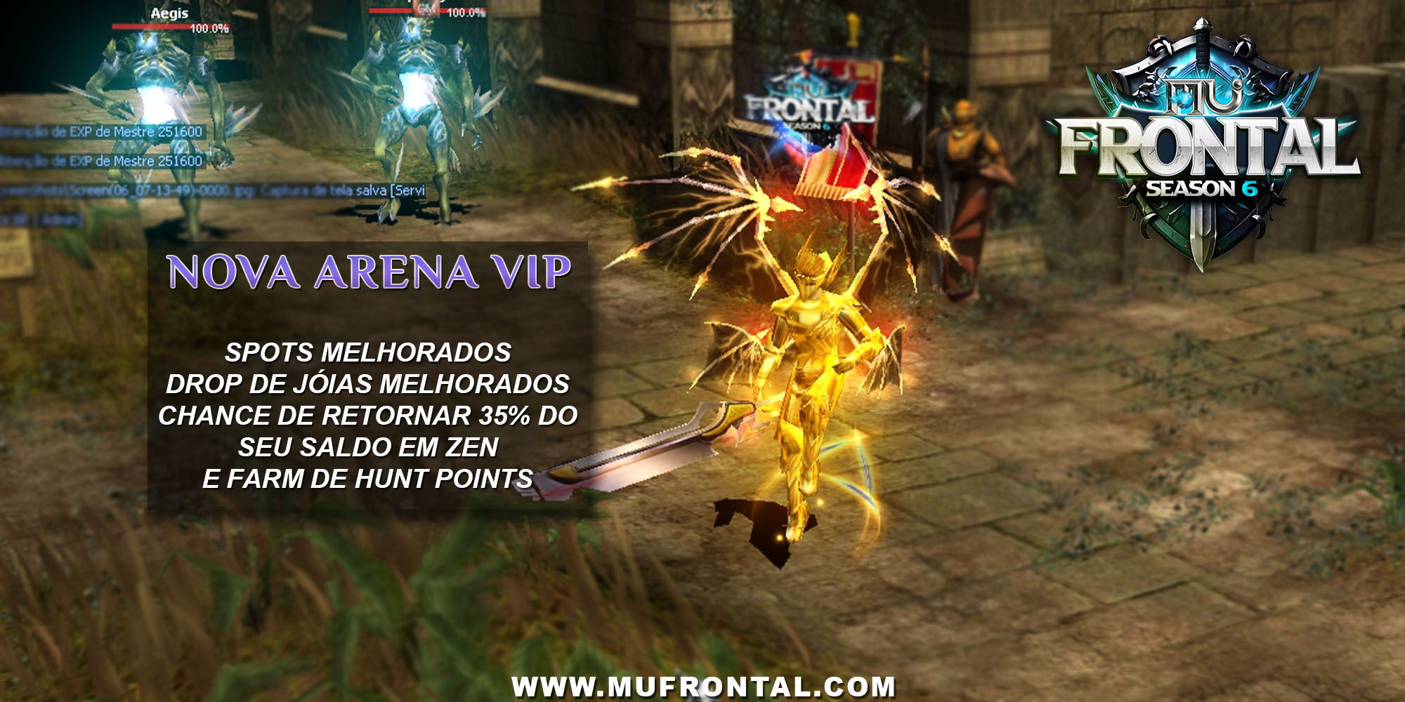 Arena VIP